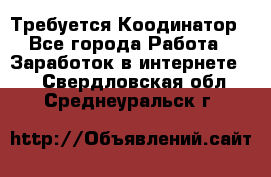 Требуется Коодинатор - Все города Работа » Заработок в интернете   . Свердловская обл.,Среднеуральск г.